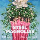 artwork for NC Theatre's Steel Magnolias